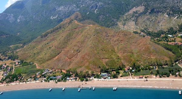 Antalya'da yanan ormanlar yeşillendiriliyor