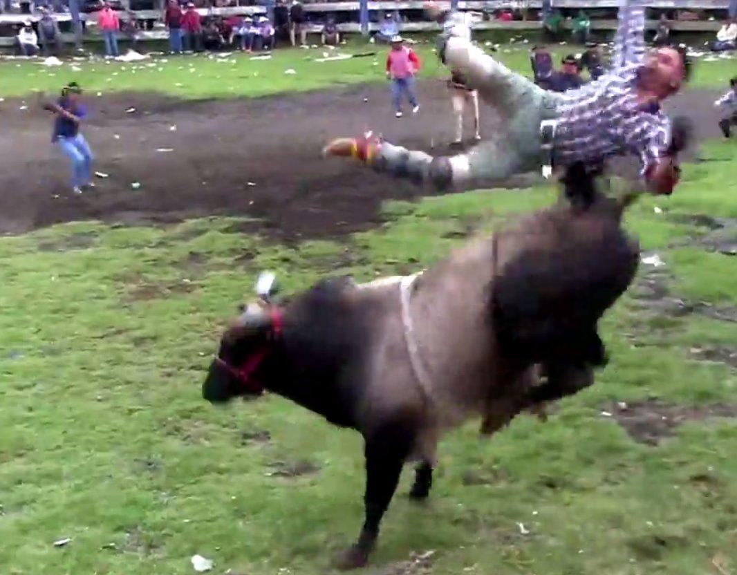 Kızgın boğa adamı havada tekmeledi