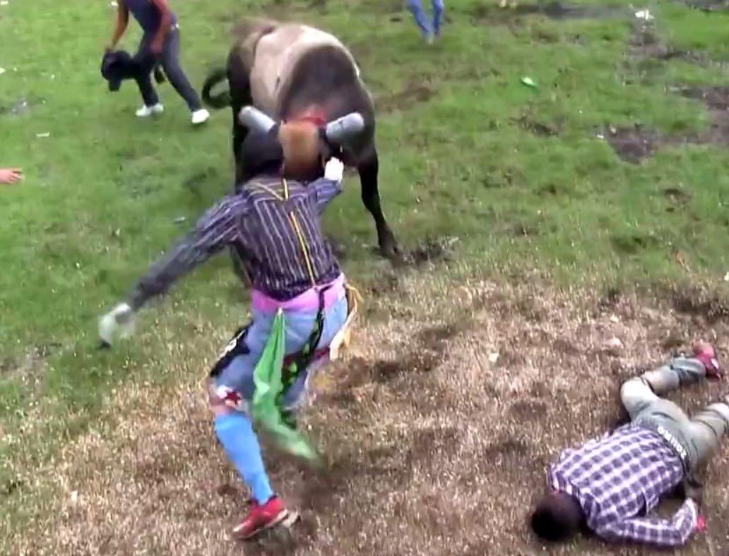 Kızgın boğa adamı havada tekmeledi