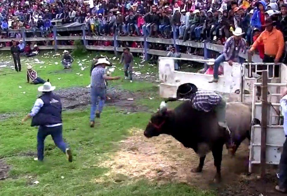 Kızgın boğa adamı havada tekmeledi