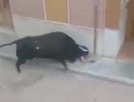 İspanya'da boğa dehşeti