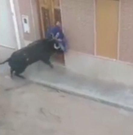 İspanya'da boğa dehşeti