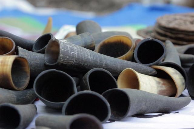 Endonezya'da bufalo boynuzuyla tedavi