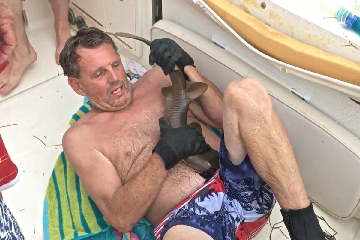 ABD'de yavru köpekbalığı saldırısı