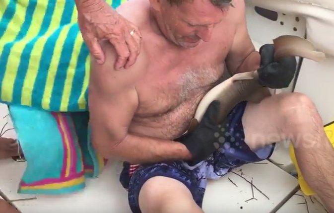 ABD'de yavru köpekbalığı saldırısı