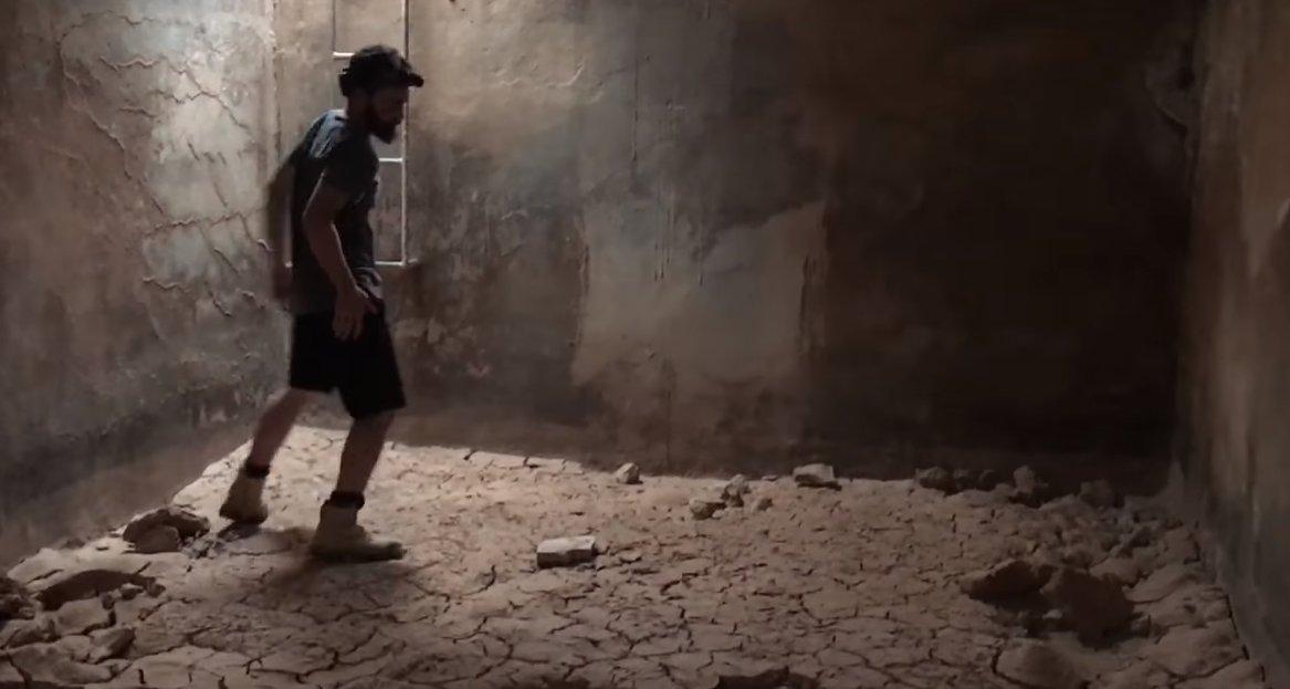 Zehirli Engerek ölmek üzereyken kurtarıldı