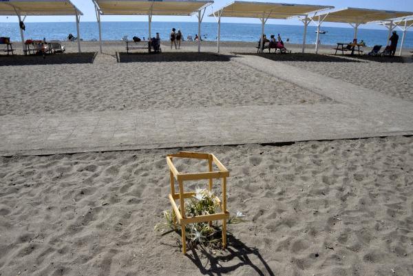 Likya kum zambakları yok olma eşiğinde