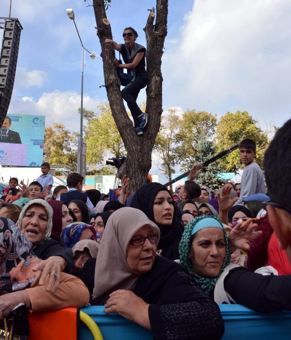 Erdoğan'ın dikkatini çekmek için ağaca çıktı