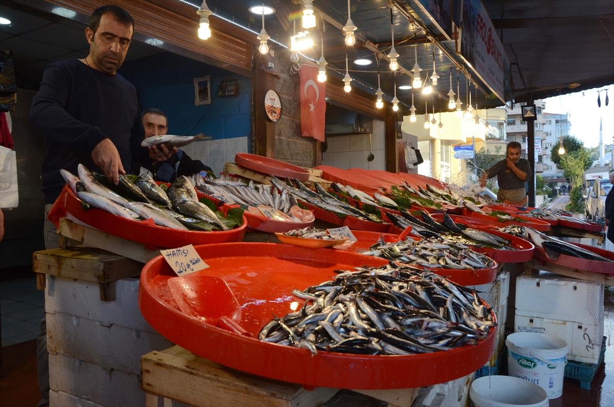 Palamut üzdü uskumru sevindirdi