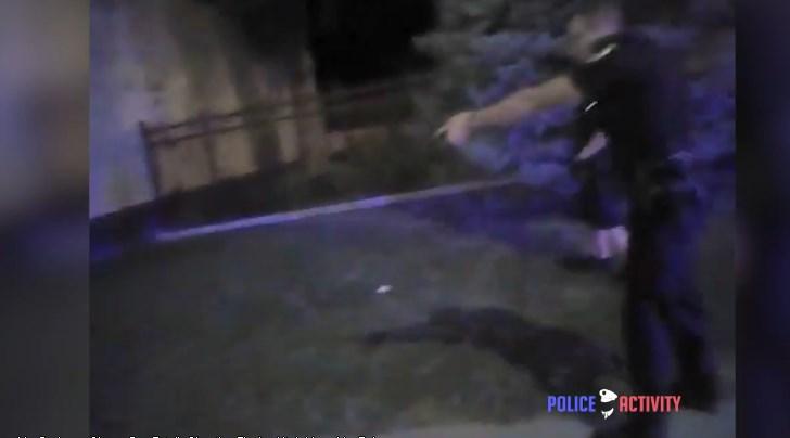 ABD'de polis siyahi adamı öldürdü