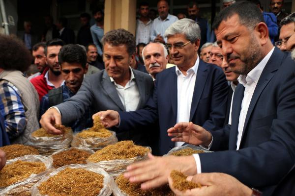 CHP'li vekilden hükümete tütün tepkisi