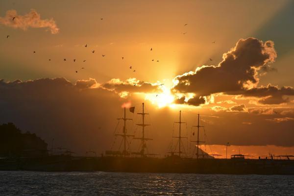 Aydın'da gökyüzü kuşlarla renklendi