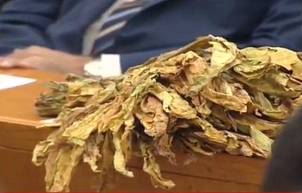 Kılıçdaroğlu: Tütün üreticileri dertli