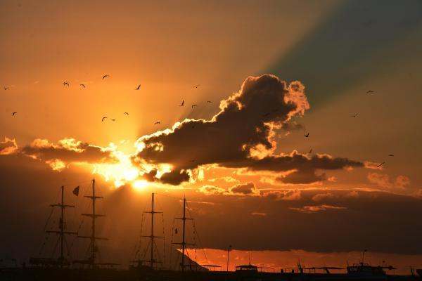 Aydın'da gökyüzü kuşlarla renklendi