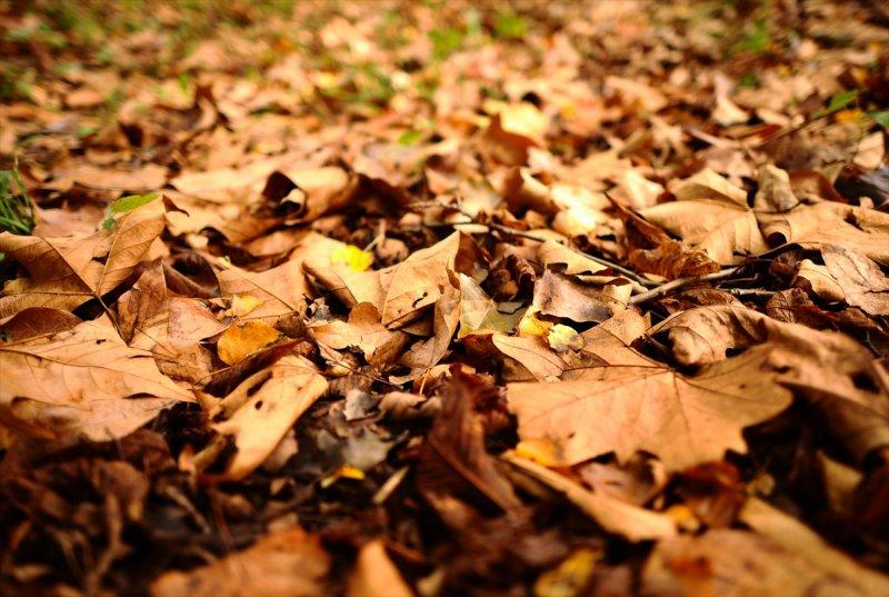 Türkiye'de bahar ayları ortadan kalkabilir