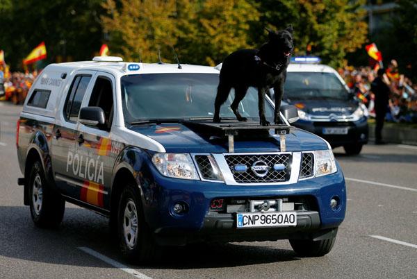 İspanya'da ulusal gün kutlamaları