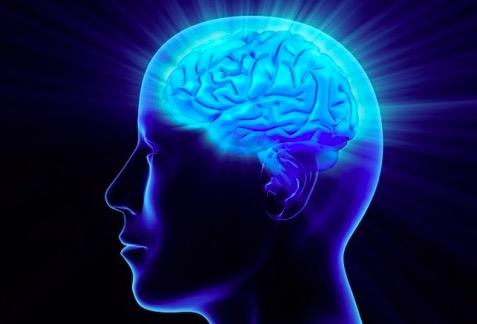 Dünyanın en kısa IQ testi