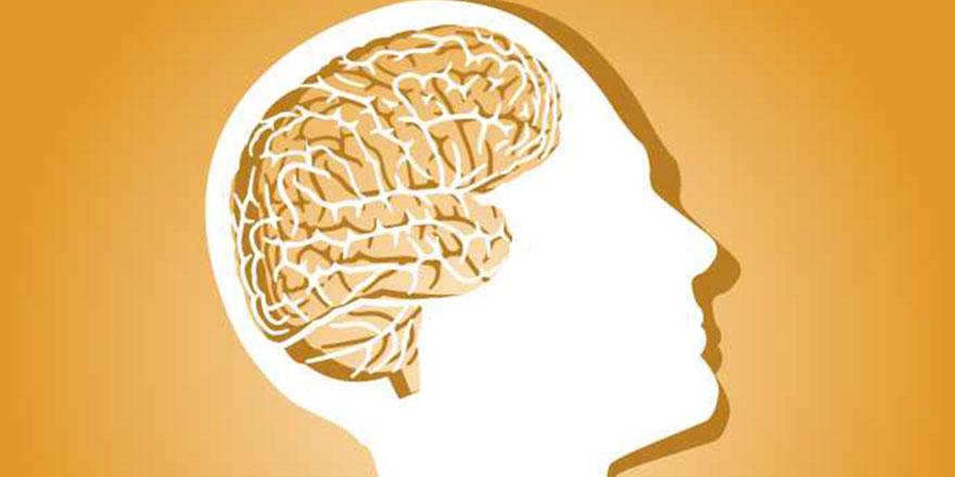 Dünyanın en kısa IQ testi