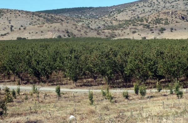 Bakan Fakıbaba: 50 lira eti fakir yiyemiyor