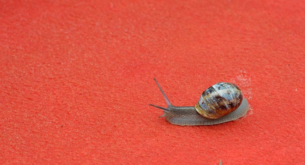 'Solak salyangoz' Jeremy öldü