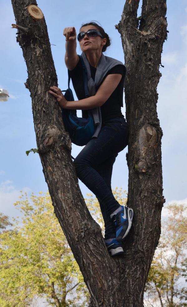 Erdoğan'a ulaşmak için ağaca çıkan kadının eşine tahliye