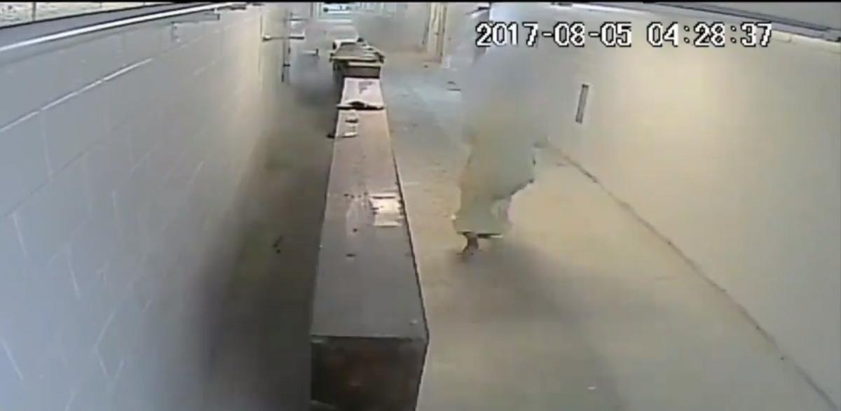 Minnesota cami saldırısının görüntüleri yayınlandı