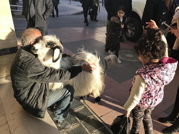 Keçisiyle 60'a yakın şehir gezdi