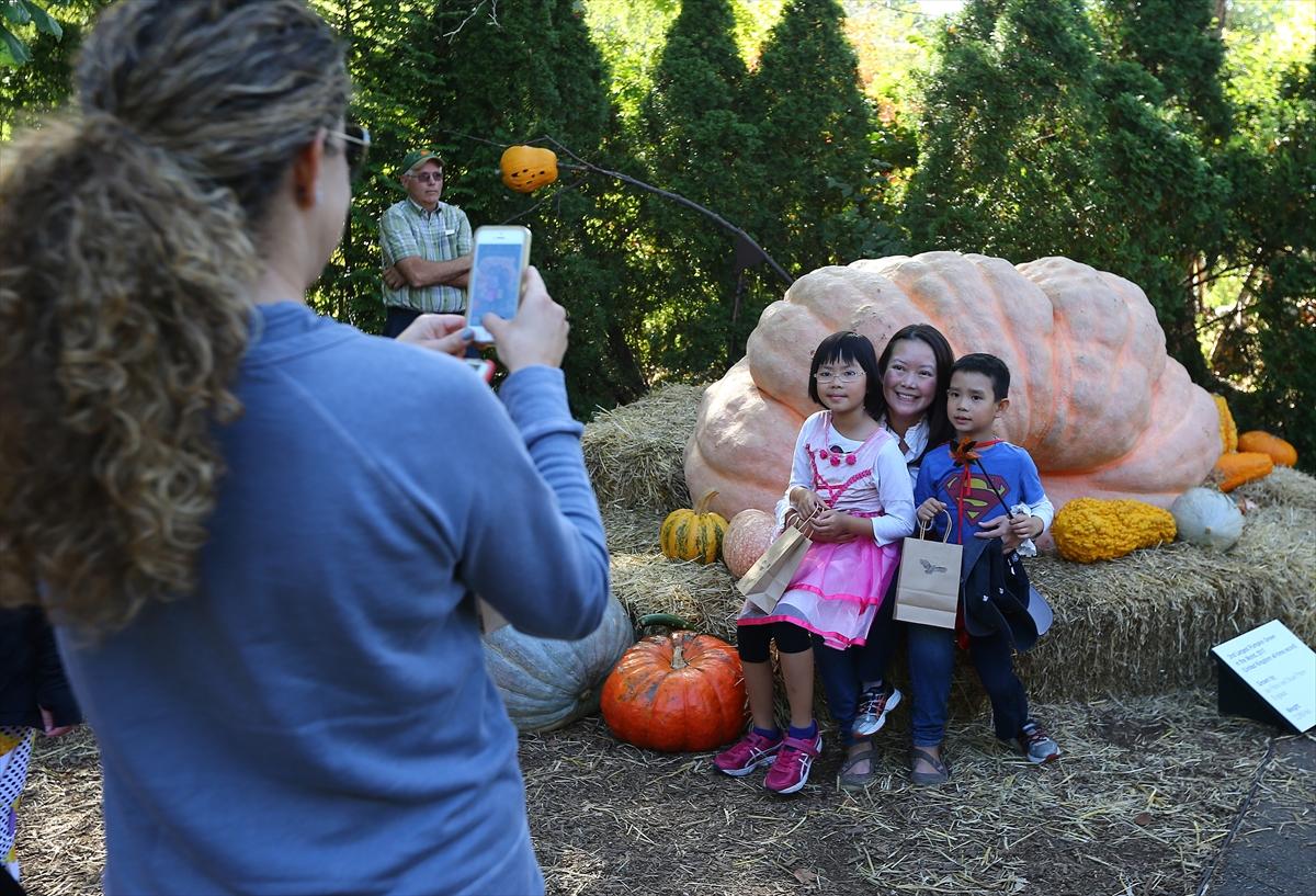 2017'nin en büyük balkabağı 1 ton ağırlığında