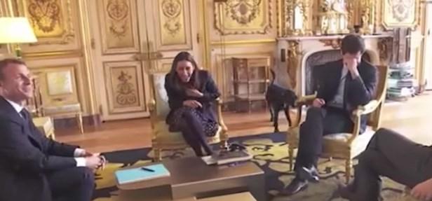 Emmanuel Macron'un köpeği şömineye işedi