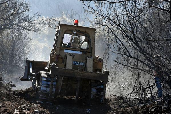 Muğla'da şüpheli orman yangını