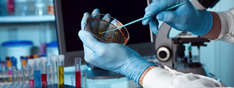 Beriberi hastalığı nedir