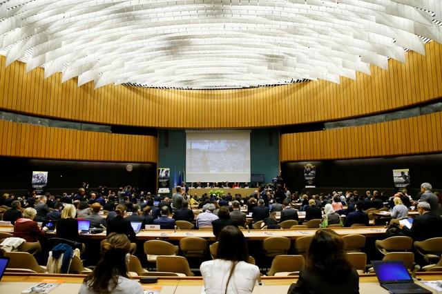 BMGK'nın Myanmar tasarısına Çin vetosu