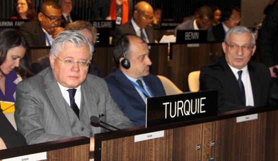 Türkiye UNESCO Yürütme Kurulu üyeliğine seçildi