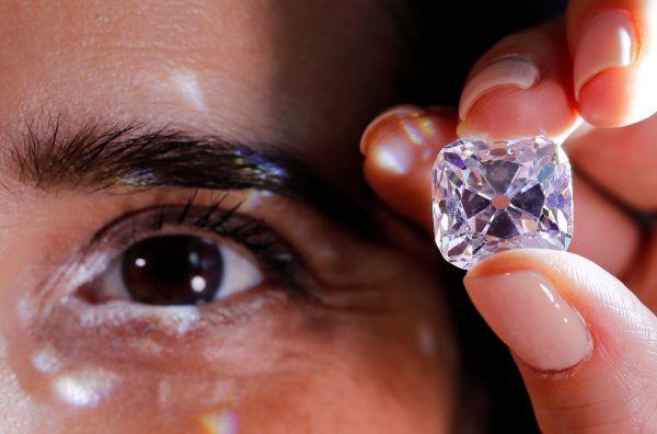 Dünyanın en kusursuz elması görücüye çıktı