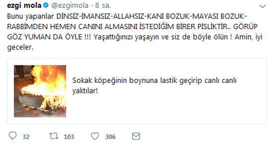 Ezgi Mola: Siz de böyle ölün
