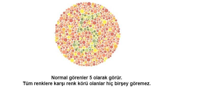 1 dakikada renk körlüğü testi