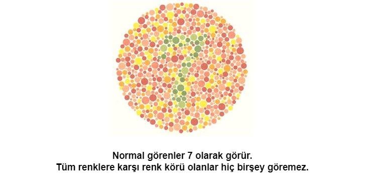 1 dakikada renk körlüğü testi