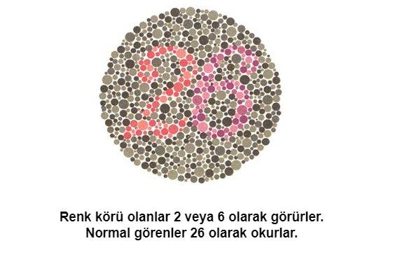 1 dakikada renk körlüğü testi