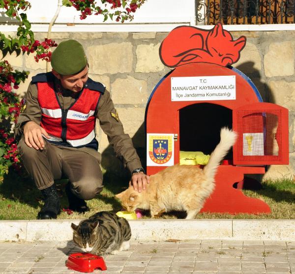 Antalya'da jandarmadan kedilere sıcak yuva