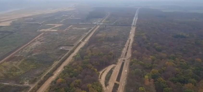 Almanya'da orman katliamı