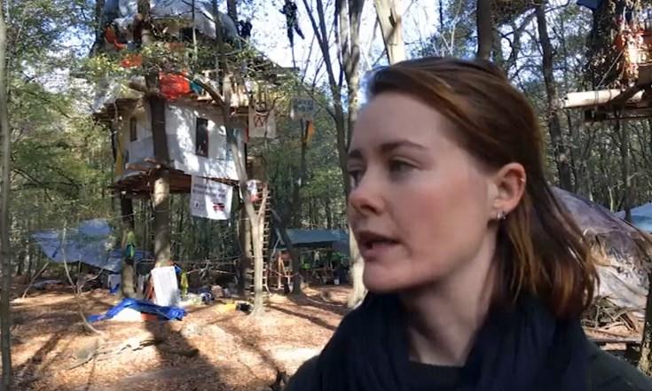 Almanya'da orman katliamı