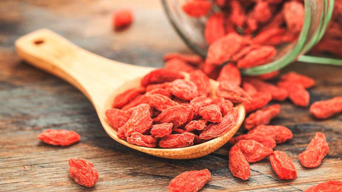 Goji Berry nedir
