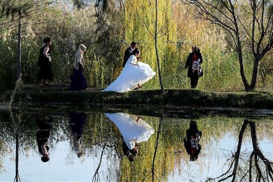 Bataklık araziyi doğa harikasına çevirdiler