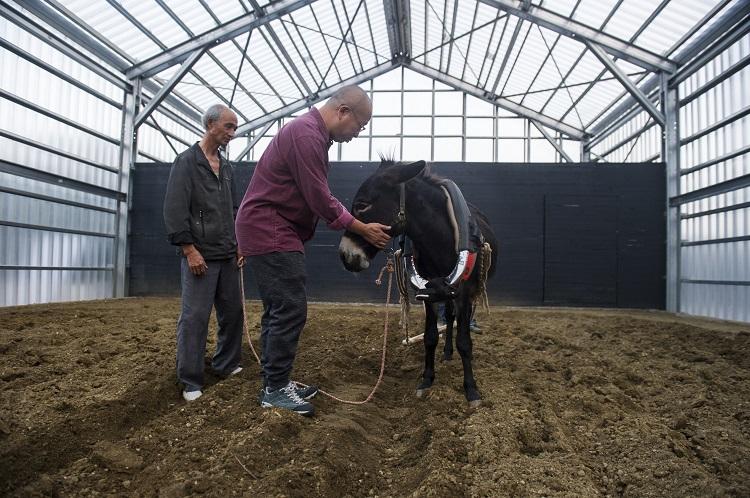 Bülent Eczacıbaşı'ndan eşek eleştirilerine esprili yanıt