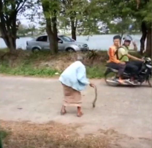 Yılanı yere vurarak öldüren yaşlı kadın