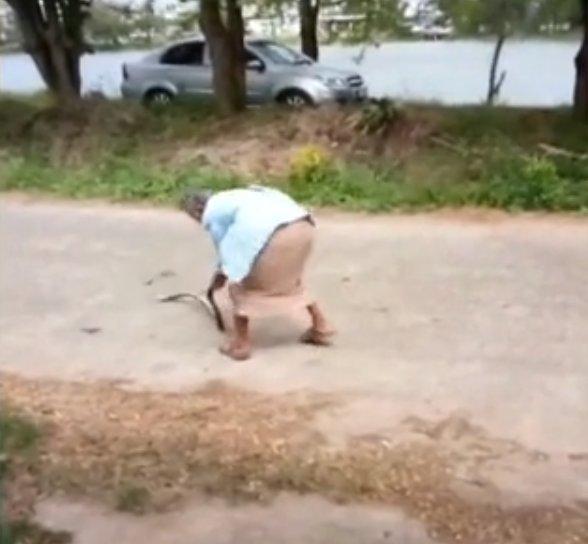 Yılanı yere vurarak öldüren yaşlı kadın