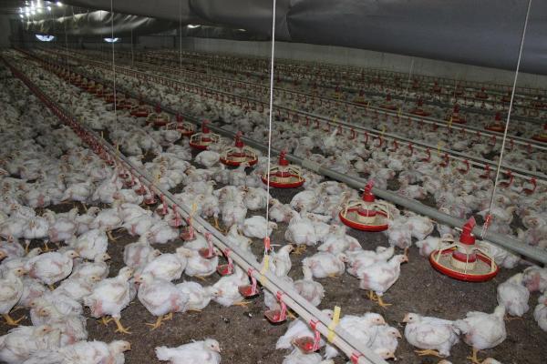 Sıfır sermayeyle başladı, şimdi milyonları var