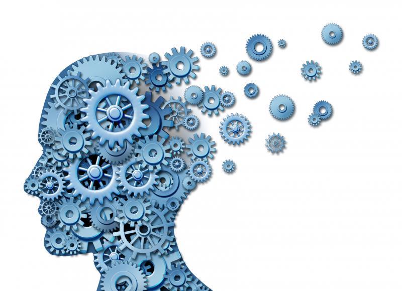 Beyindeki elektrik bağlantılarının haritası çıkarıldı