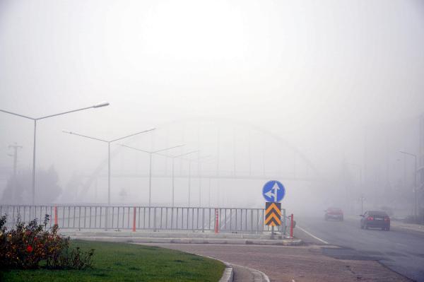 Malkara'da yoğun sis