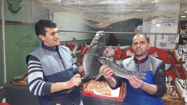 Karadeniz'den 10 kiloluk levrek çıktı